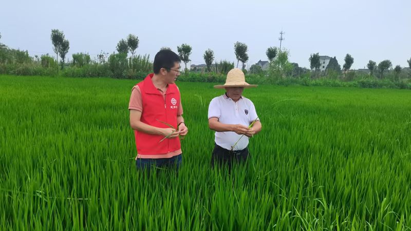 注册送彩金菠菜网址网页版